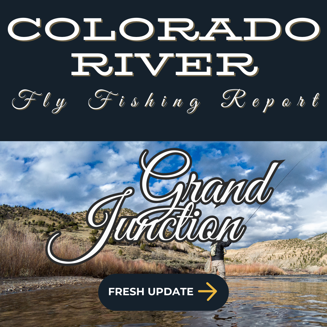 Angler casting on the clear waters of the Lower Colorado River near Grand Junction in fall, surrounded by vibrant autumn foliage