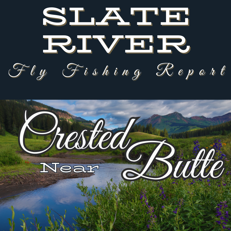 SLATE RIVER NEAR CRESTED BUTTE FLY FISHING REPORTS FOR GUNNISON TRIBUTARIES