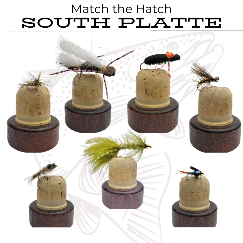 Rise Beyond Fly Fishing in Denver Colorado a fly shop selection of south platte river flies. 