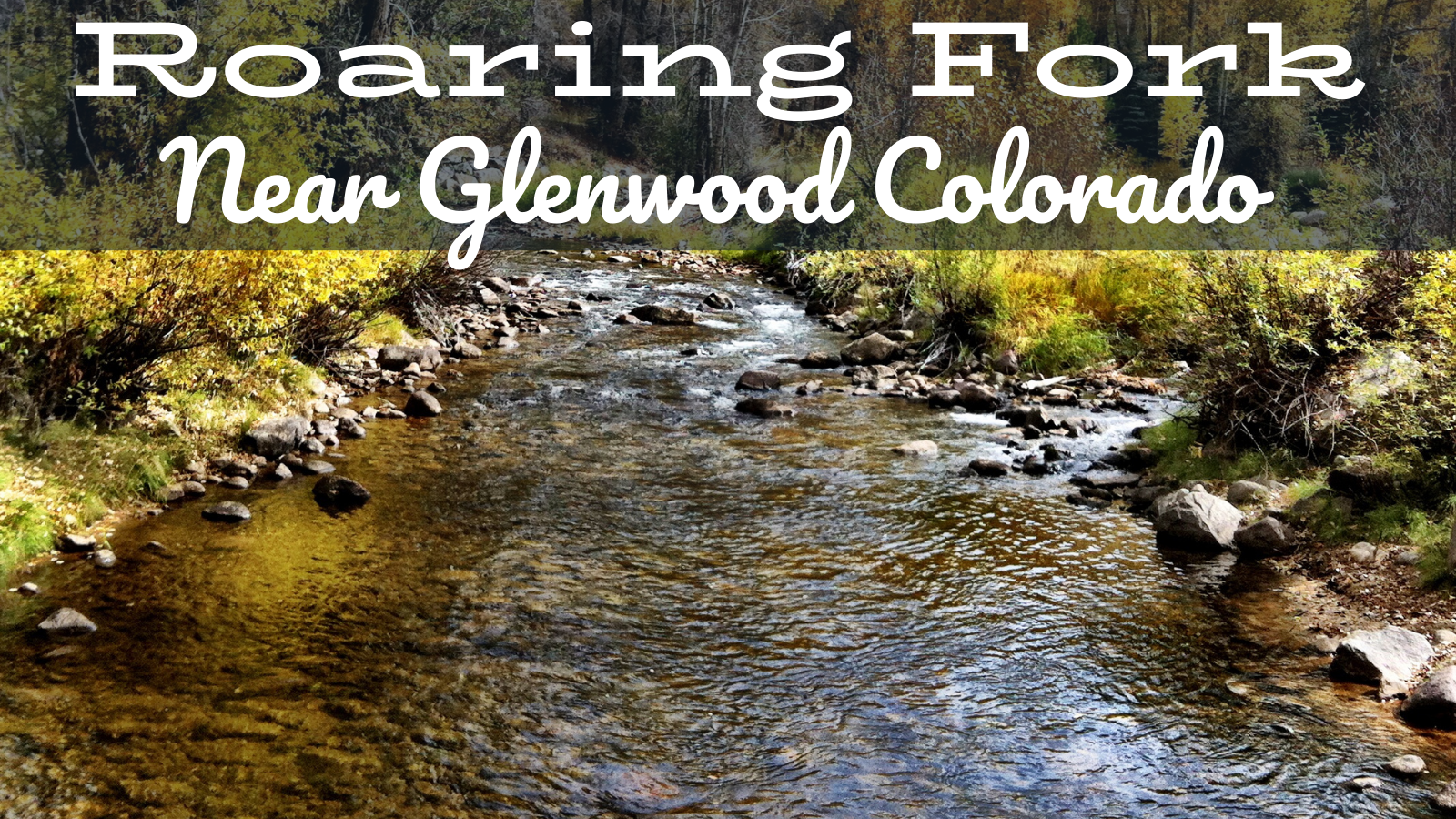 roaring fork fly fishing report by rise beyond