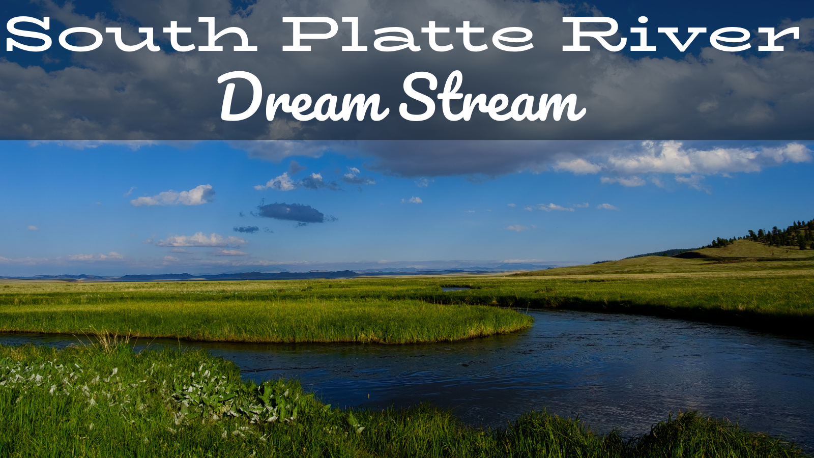 Dream Stream in late Spring