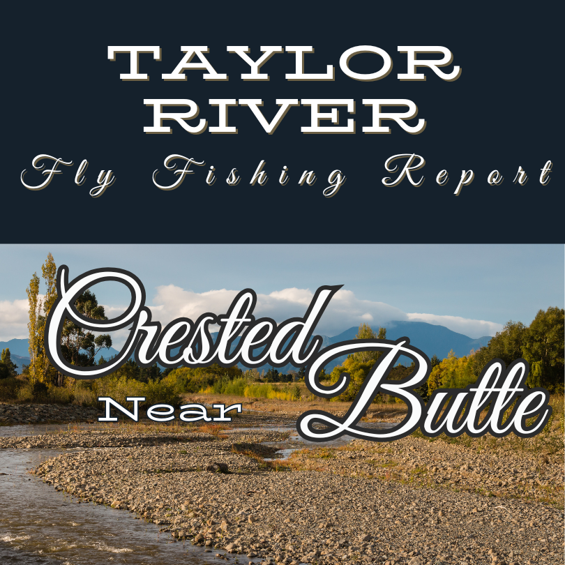 Talyor River Fly Fishing Report Near Created Butte and Almont Colorado