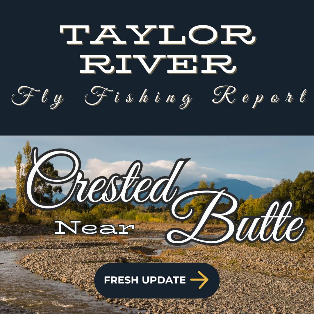 Angler casting a fly rod on the clear waters of the Taylor River, surrounded by autumn foliage near Crested Butte, Colorado.