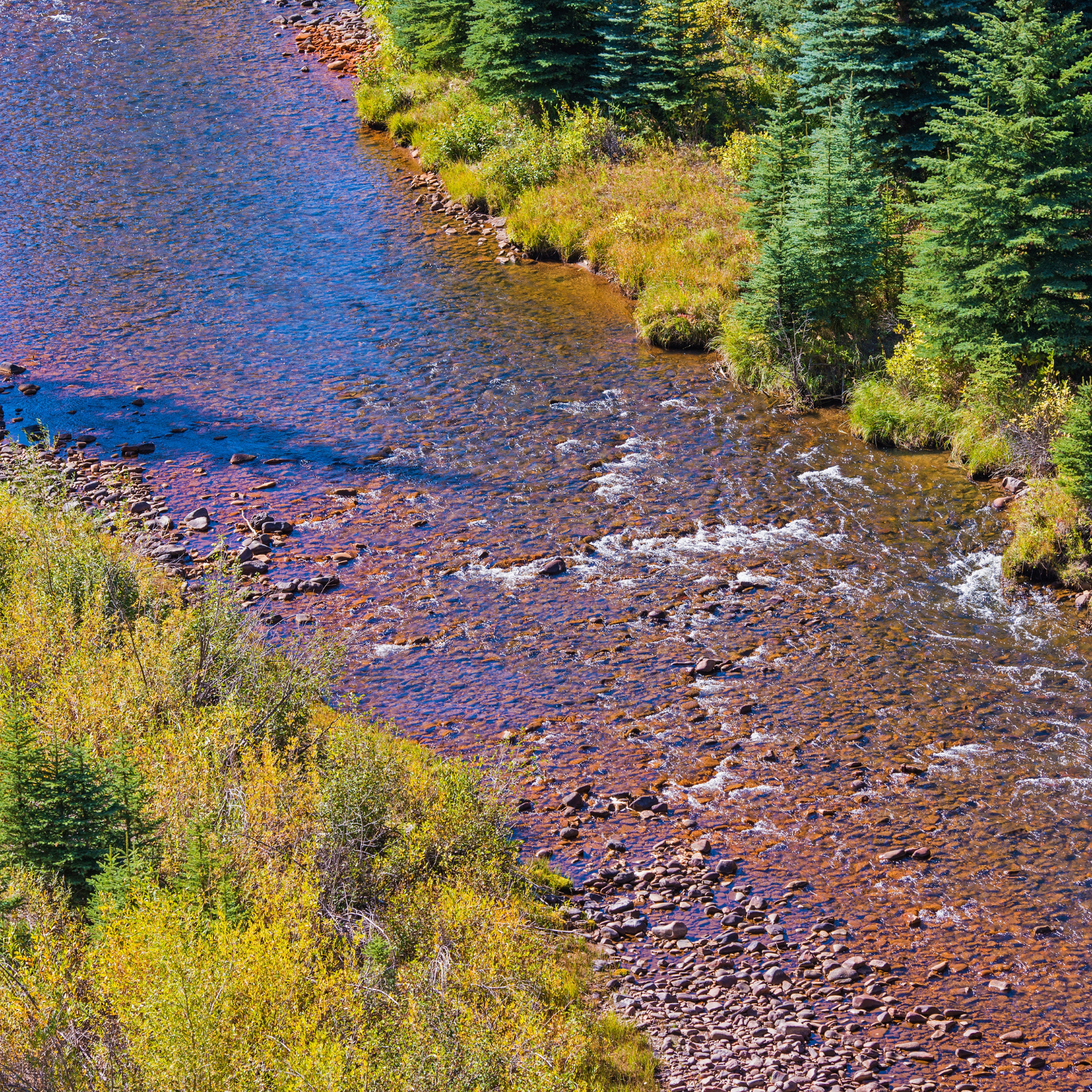 Best flies for Colorado trout