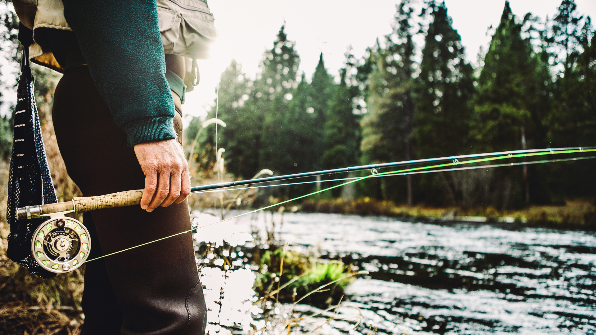 carp fishing when fly fishing a man approaches a bank with fly rod in hand looking at towards a pool holding carp. 