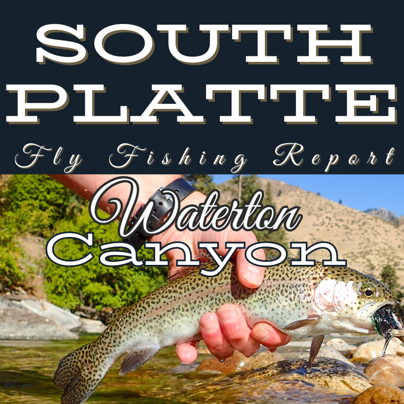 south platte river reports near waterton canyon colorado river conditions. 