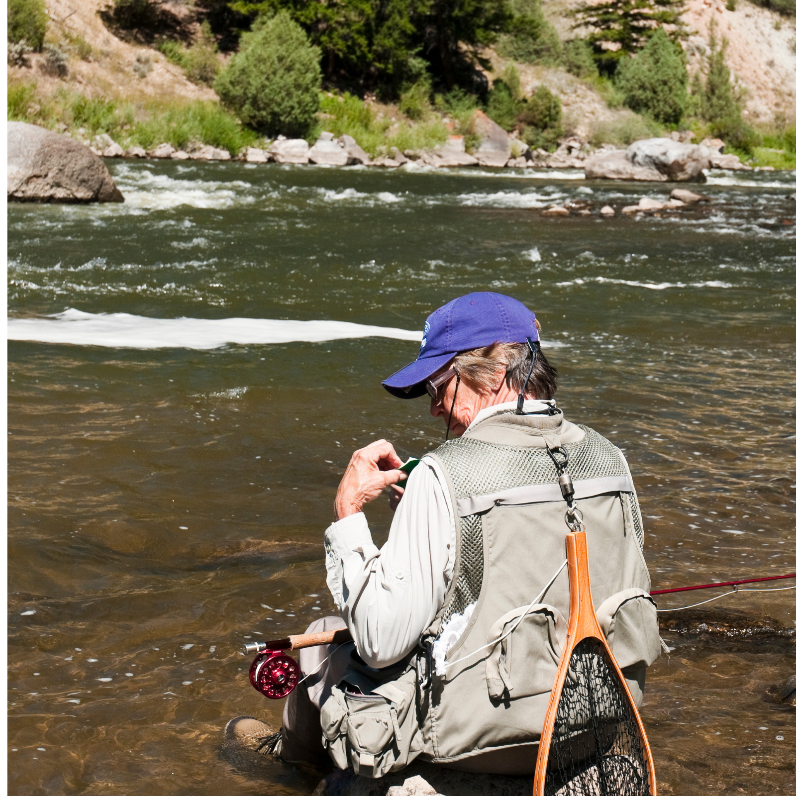 an algner rests on the banks of the arkansas river near salida. changing flies for the top fly choice on the arkansas river for fly fishing