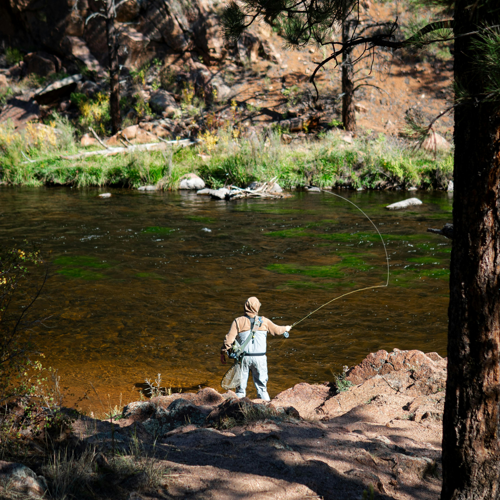 an angler fly fishing on the south platte river near decker colorado