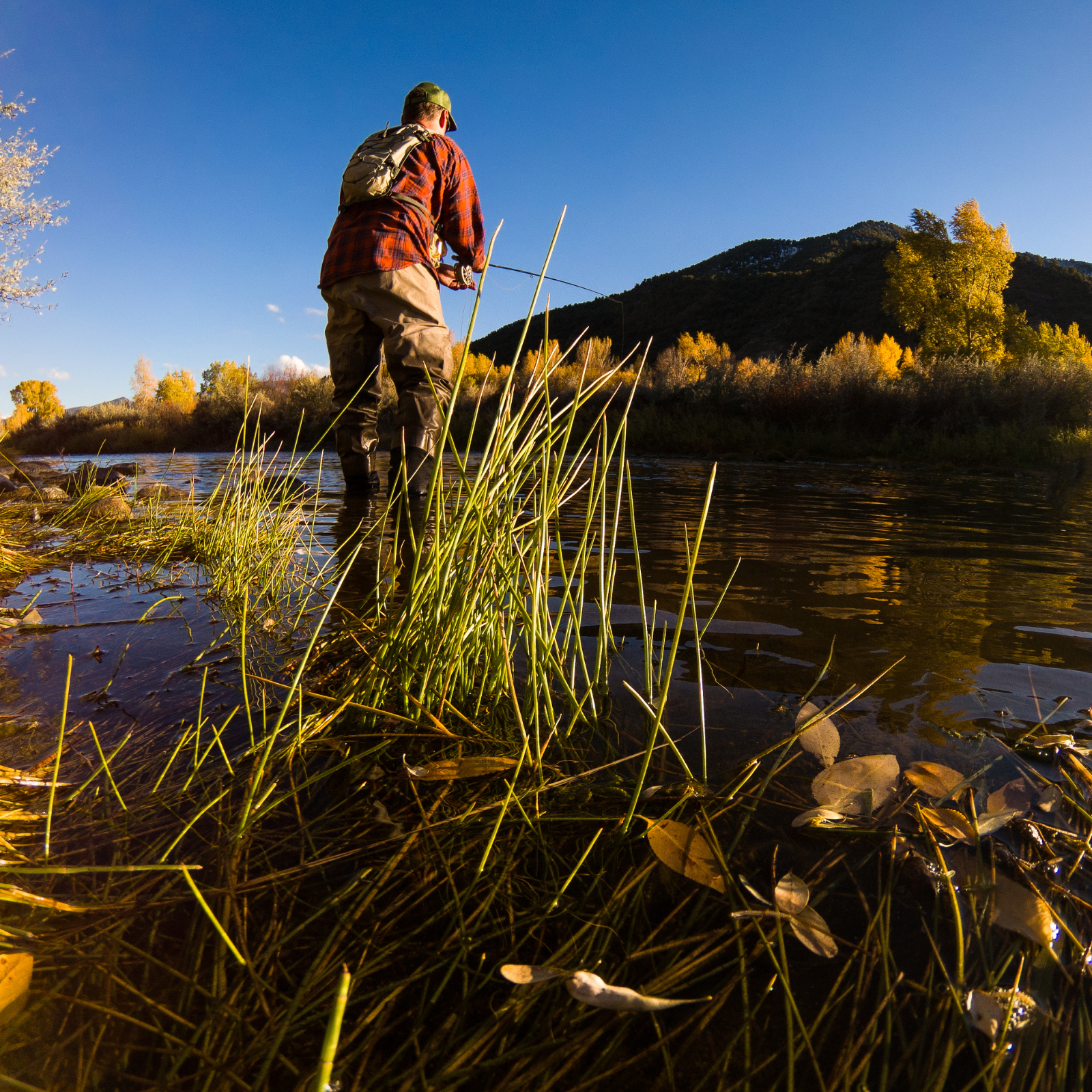 fall fly fishing on the roaring fork river near glenwood springs colorado fly fishing