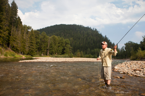 An angler fly fishing in the pristine waters of Tarryall Creek at Collard Ranch, surrounded by scenic mountain views and lush greenery.