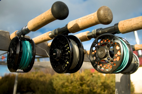 best fly lines for colorado fly fishing