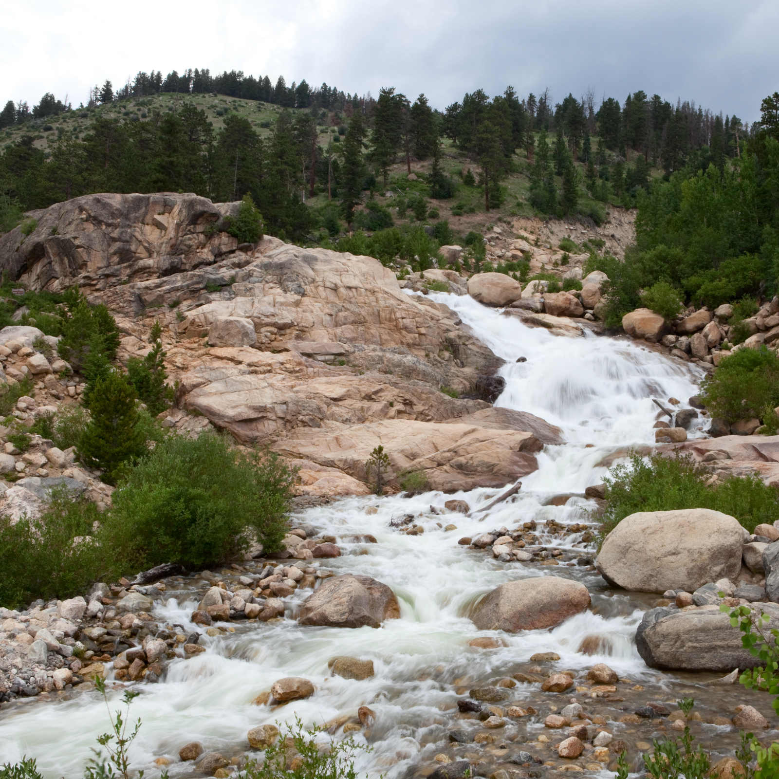 headwaters of clear creek fly fishing near denver